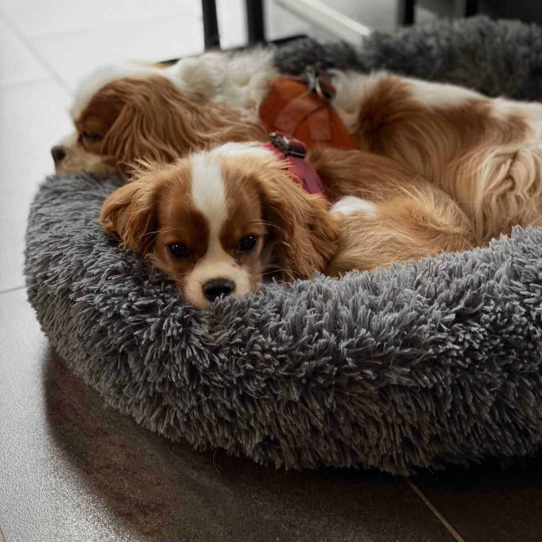 Hundebett Wolke 7 - Das Original