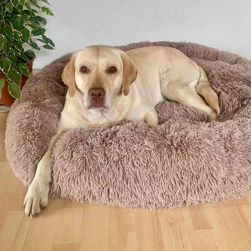 Hundebett Wolke 7 - Das Original