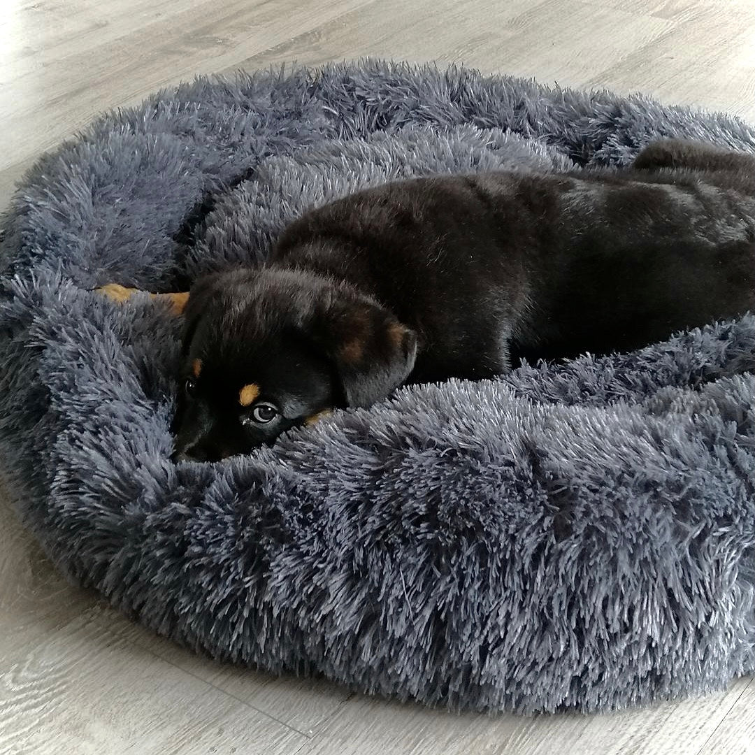 Hundebett Wolke 7 - Das Original