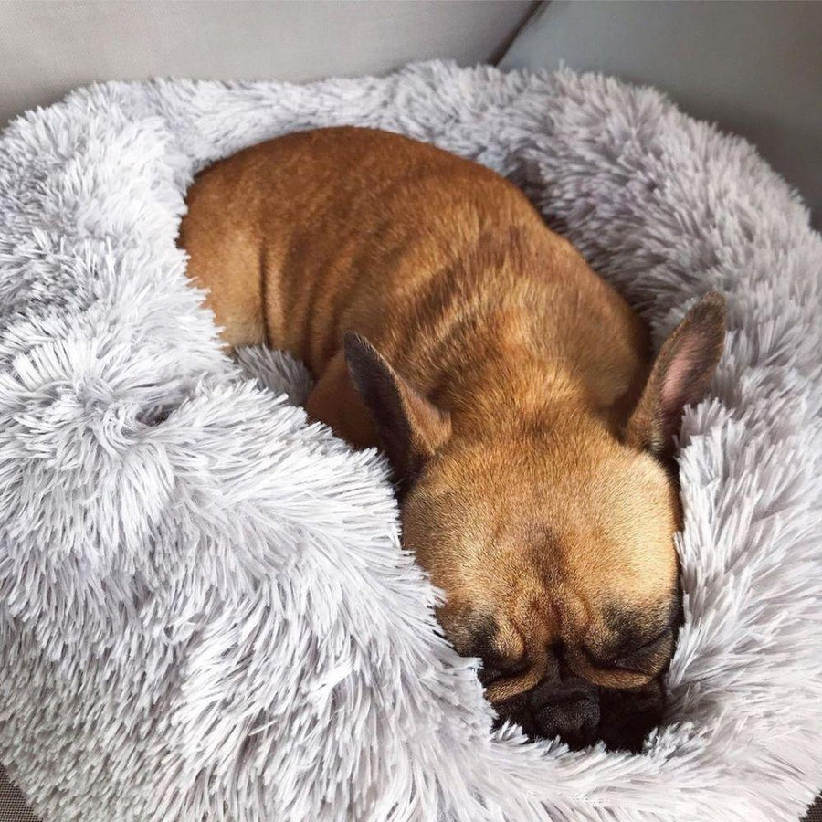 Hundebett Wolke 7 - Das Original
