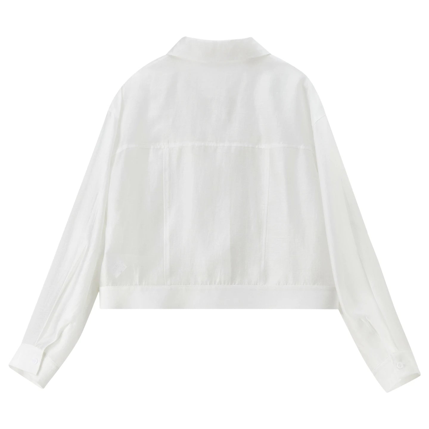 Lavinia | Bluse mit transparentem Stoff und Kragen
